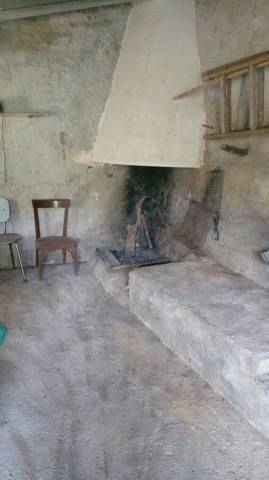 imagen 3 de Venta de olivar en Benifallet (Tarragona)