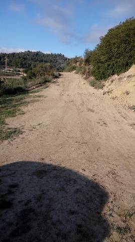 imagen 4 de Venta de olivar en Benifallet (Tarragona)