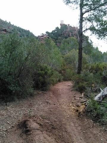 imagen 1 de Venta de finca en Mont Roig del Camp