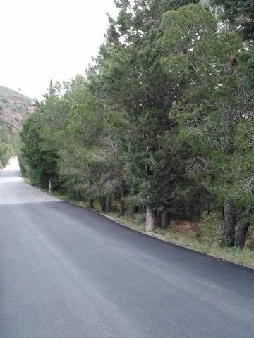 imagen 3 de Venta de finca en Mont Roig del Camp