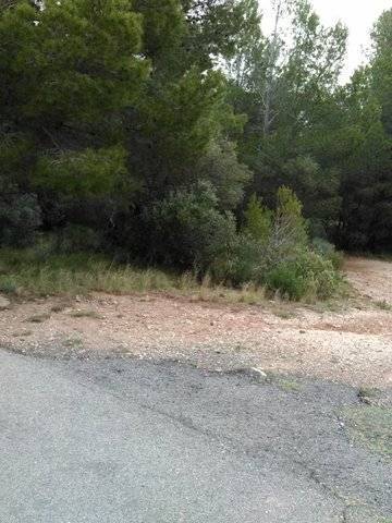 imagen 2 de Venta de finca en Mont Roig del Camp