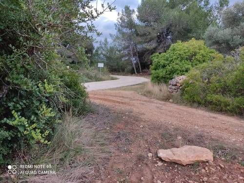 imagen 1 de Venta de finca de algarrobos y bosque en Vespella de Gaia (Tarragona)
