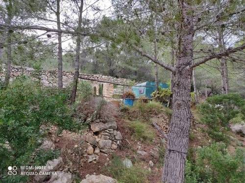 imagen 2 de Venta de finca de algarrobos y bosque en Vespella de Gaia (Tarragona)