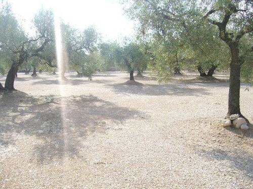 imagen 1 de Venta de terreno en La Galera (Tarragona)