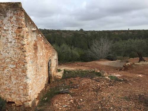 imagen 1 de Venta de finca con casa rural tradicional en L´Aldea (Tarragona)