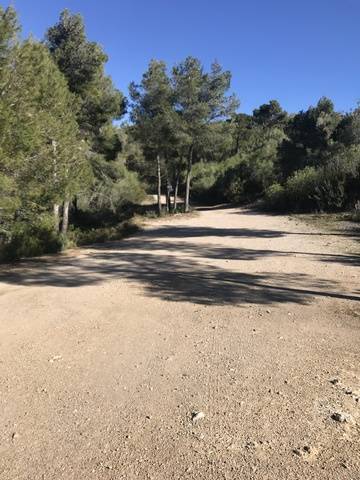 imagen 1 de Finca rústica con casa en Bonastre (Tarragona)