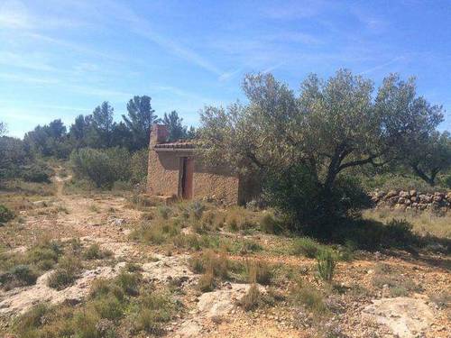 imagen 1 de Venta de finca con olivos y algarrobos en Hospitalet d´Infant (Tarragona)