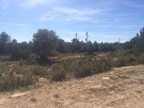 imagen 1 de Venta de finca con olivos y algarrobos en Hospitalet d´Infant (Tarragona)