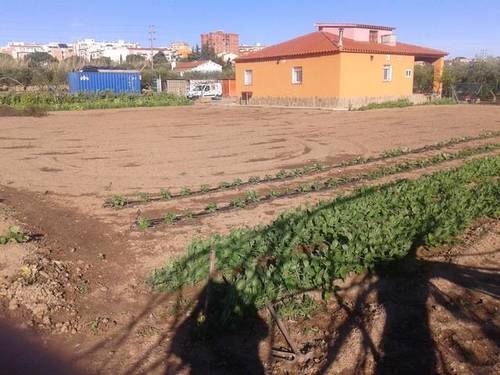 imagen 1 de Venta de casa rural con terreno en Constanti (Tarragona)