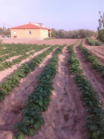imagen 2 de Venta de casa rural con terreno en Constanti (Tarragona)