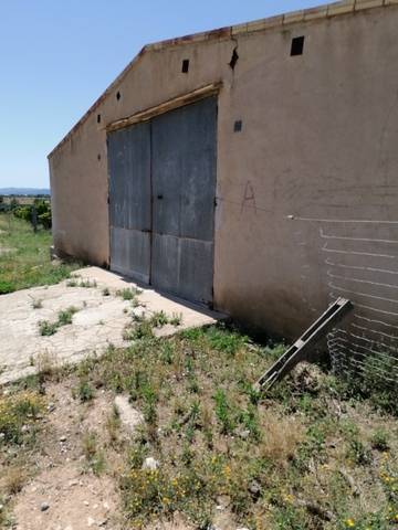 imagen 2 de Venta de finca de mandarinos, nave y casa en Ulldecona