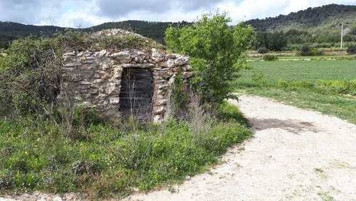 imagen 1 de Venta de finca rústica en Albinyana con olivos y algarrobos