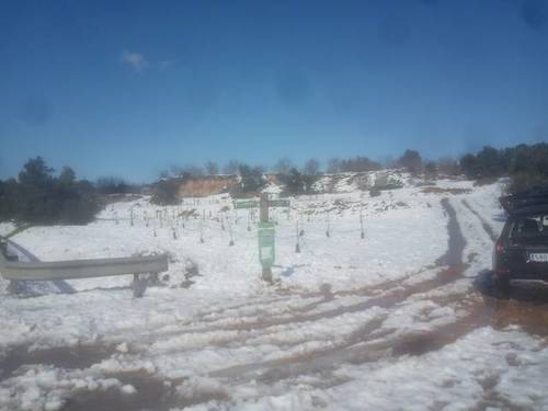 imagen 1 de Venta de terreno bien ubicado en Vinebre (Tarragona)