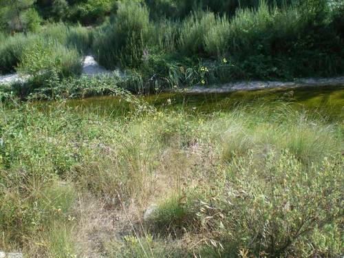 imagen 1 de Venta de terreno en Arnes rodeado de naturaleza