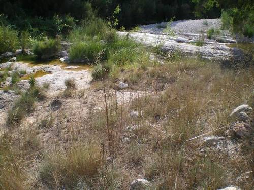 imagen 1 de Venta de terreno en Arnes rodeado de naturaleza