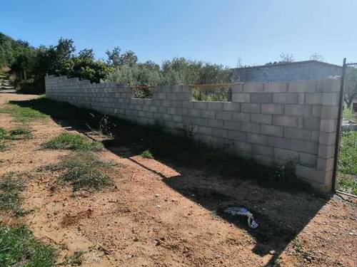 imagen 1 de Venta de finca para cultivar en Valldemoll (Tarragona)