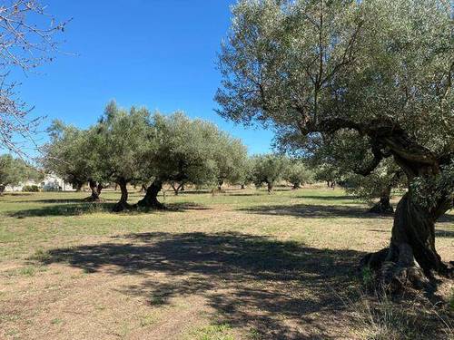 imagen 1 de Venta de casa rural ubicada en Godall (Tarragona)