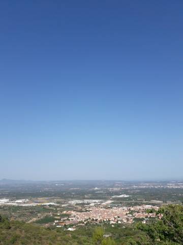 imagen 2 de Venta de finca en La selva del Camp (Tarragona)