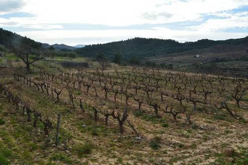 imagen 1 de vVenta de finca rústica de regadío en La Vilella Baixa