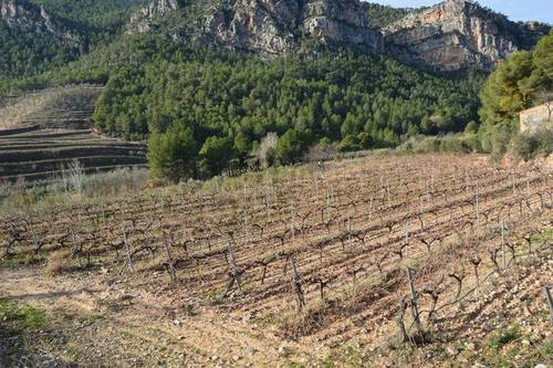 imagen 3 de vVenta de finca rústica de regadío en La Vilella Baixa