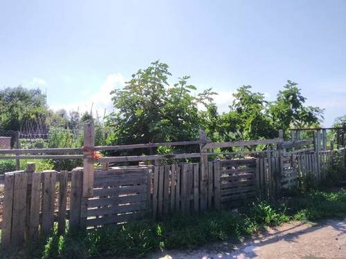 imagen 3 de Finca rústica con vivienda y piscina en Barbera de la Conca