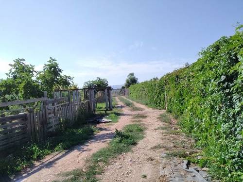 imagen 2 de Finca rústica con vivienda y piscina en Barbera de la Conca