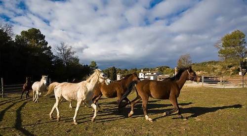 imagen 3 de Finca rústica con masía y restaurante en Tarragona