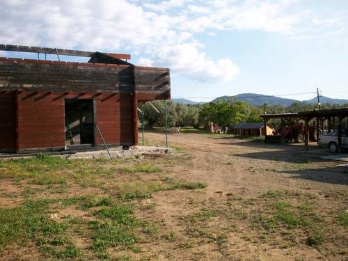 imagen 4 de Venta de finca de olivos con vivienda y molino en Les Borges del Camp (Tarragona)