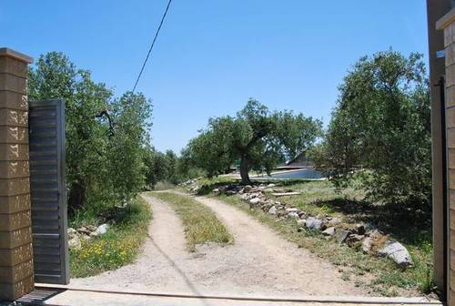 imagen 3 de Venta de finca de olivos con vivienda y molino en Les Borges del Camp (Tarragona)