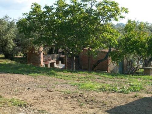 imagen 6 de Venta de finca de olivos con vivienda y molino en Les Borges del Camp (Tarragona)