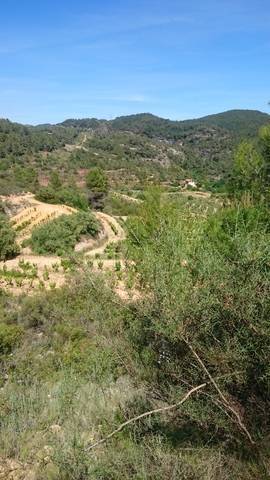 imagen 1 de Venta de terreno rústico en El Masroig (Tarragona)