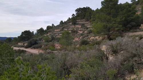 imagen 1 de Venta de finca rústica en Mora de Ebre