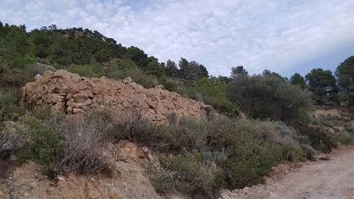 imagen 2 de Venta de finca rústica en Mora de Ebre