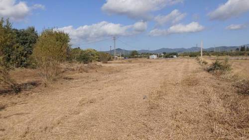 imagen 1 de Venta de finca de recreo en Riudoms (Tarragona)