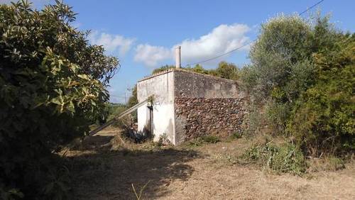 imagen 4 de Venta de finca de recreo en Riudoms (Tarragona)