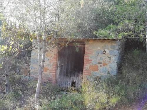 imagen 1 de Venta de terreno con olivos jóvenes en Riudecanyes