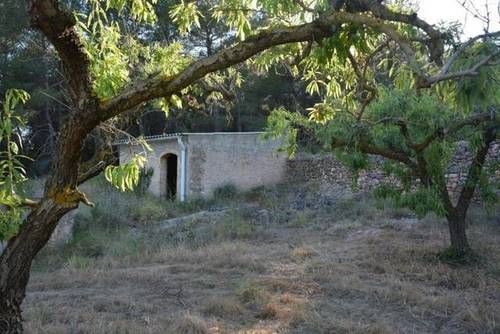 imagen 2 de Venta de finca rústica con almendros en Cabra del Camp
