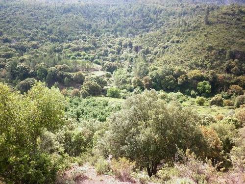 imagen 1 de Venta de bonita finca en Alfara de Carles (Tarragona)
