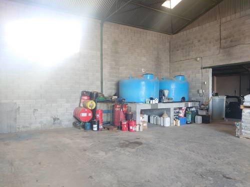 imagen 11 de Fantástica finca de peras en intensivo