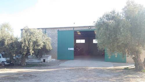 imagen 16 de Fantástica finca de peras en intensivo