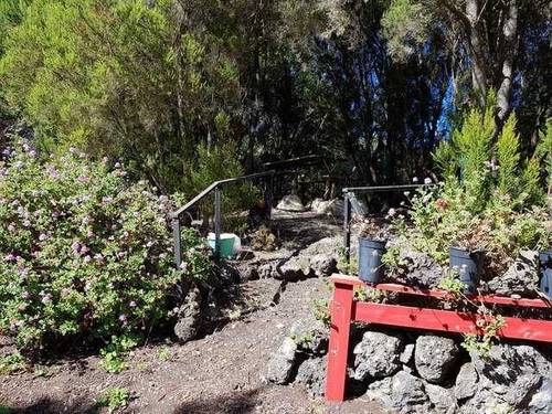 imagen 2 de Venta de finca vallada y con buen acceso en Garachico (Tenerife)