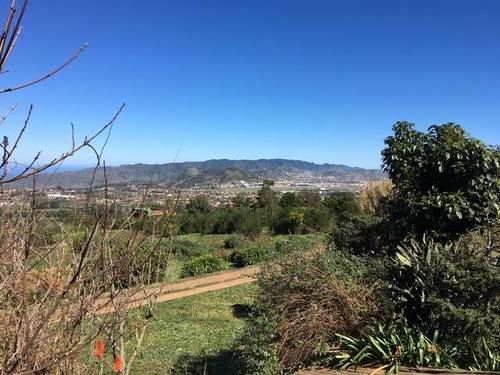 imagen 1 de Venta de terreno con frutales en Tenerife