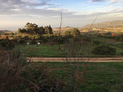 imagen 1 de Venta de terreno con frutales en Tenerife