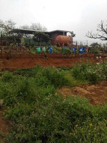 imagen 4 de Venta de finca con casa prefabricada en Tacoronte (Tenerife)
