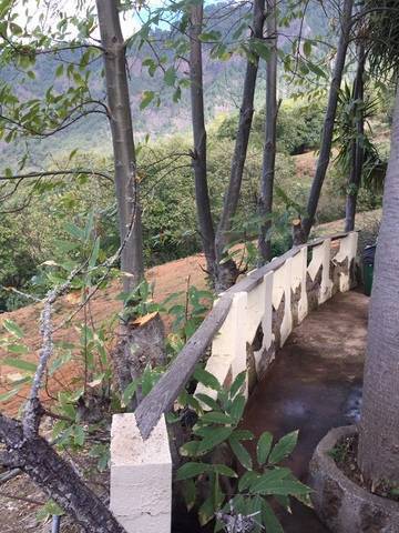 imagen 3 de Venta de casa rural con terreno en La Orotava (Tenerife)