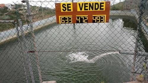 imagen 2 de Venta de parcelas de cultivo con distintas posibilidades en Fasnia