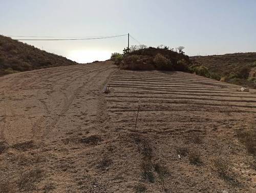 imagen 1 de Venta de terreno rústico en Fasnia (Tenerife)