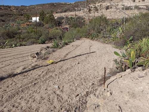 imagen 2 de Venta de terreno rústico en Fasnia (Tenerife)