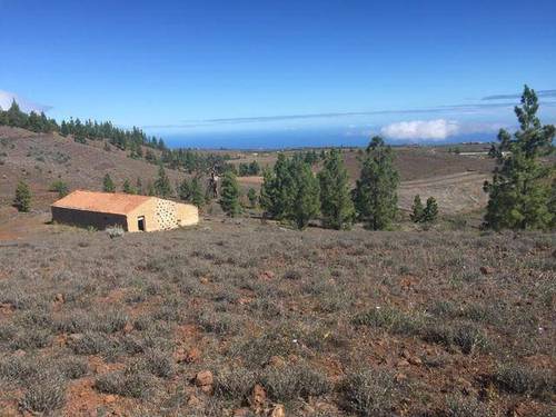 imagen 1 de Venta de bonita finca con casa a restaurar en Vilaflor