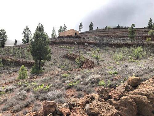 imagen 2 de Venta de bonita finca con casa a restaurar en Vilaflor